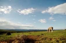 #420 4th September to 18th September 2016 - PentaxForums.com