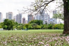  São Paulo - Brazil....The MEGALOPOLIS - Page 115 - SkyscraperCity