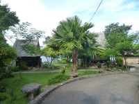 North Sumatra, The Land and The People | Page 41 | SkyscraperCity Forum North Sumatra, The Land and The People