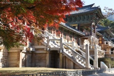 Gyeongju 경주 Pics | SkyscraperCity Gyeongju 경주 Pics