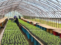 合同会社 小澤農園のアルバイト・バイト求人情報｜【タウンワーク】でバイトやパートのお仕事探し 「カンタン作業」＆「時間･日数相談OK」... 