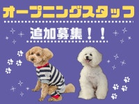 Dog Salon Cha-Chaのアルバイト・バイト求人情報｜【タウンワーク】でバイトやパートのお仕事探し... 