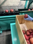 株式会社スノーアップルのアルバイト・バイト求人情報｜【タウンワーク】でバイトやパートのお仕事探し 人気＊主婦活躍中... 