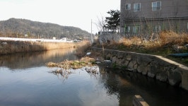 삼향천 물고기가 울어요 2 - 열린시장실 삼향천 물고기가 울어요 2