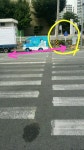 횡단보도인지가 안된다고? - 열린시장실 횡단보도인지가 안된다고?