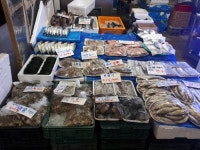 삼촌네생선가게 - 목포BIZ 삼촌네생선가게