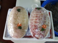 영광회센터 - 목포BIZ 영광회센터