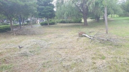 버스터미널 인근 공원길 환경정리가 필요할듯 합니다. - 열린시장실 버스터미널 인근 공원길 환경정리가 필요할듯 합니다. 