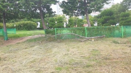 버스터미널 인근 공원길 환경정리가 필요할듯 합니다. - 열린시장실 버스터미널 인근 공원길 환경정리가 필요할듯 합니다. 