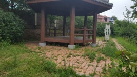 북교초등학교 후문쪽 공원이 정비가 안되서 우범지역으로염려되어니 정비 바랍니다~~ - 열린시장실 북교초등학교 후문쪽 공원이 정비가 안되서... 