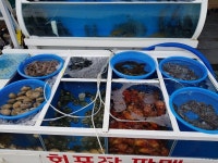 송광회센타 - 목포BIZ 송광회센타