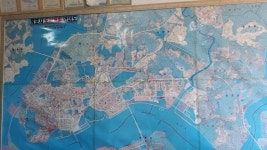 태평양공인중개사조정행사무소 - 목포BIZ 태평양공인중개사조정행사무소