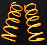 익스트림 갤로퍼,테라칸 2인치,3인치 UP 스프링