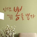 까사 CASA : 인생뽕을뽑자(B) S76-B 그래픽스티커 명언 레터링 인생뽕을뽑자(B) S76-B 그래픽스티커 명언 레터링 | 까사