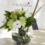 까사 CASA : 나이아스 나이아스 | 까사