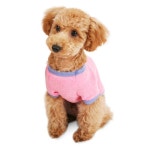 까사 CASA : LOLLIPOP T-SHIRTS_PINK LOLLIPOP T-SHIRTS_PINK | 까사