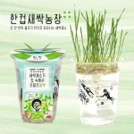 까사 CASA : 한컵새싹농장_밀싹키우기 한컵새싹농장_밀싹키우기 | 까사