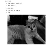 서울남부지방법원 2022가단279768 - CaseNote