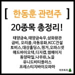 한동훈 관련주 태양금속,금비,오리콤,대상홀딩스등 20종목 총정리! > 이슈 | 시보드 한동훈 관련주 태양금속,금비,오리콤,대상홀딩스등 20종목... 