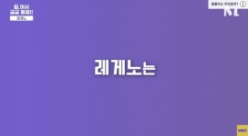 레게노와 알잘딱깔센을 알아보자 > 인기 게시물 | 시보드 레게노와 알잘딱깔센을 알아보자