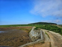 톼근박 무안 - 서해랑길 33코스 > 인기 게시물 | 시보드 톼근박 무안 - 서해랑길 33코스