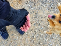 톼근박 무안 - 서해랑길 33코스 > 인기 게시물 | 시보드 톼근박 무안 - 서해랑길 33코스