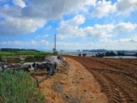 톼근박 무안 - 서해랑길 33코스 > 인기 게시물 | 시보드 톼근박 무안 - 서해랑길 33코스