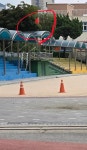 오늘자 서울 초등학교 중공기 게양 > 인기 게시물 | 시보드 오늘자 서울 초등학교 중공기 게양