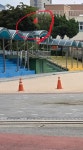 오늘자 서울 초등학교 중공기 게양 > 인기 게시물 | 시보드 오늘자 서울 초등학교 중공기 게양
