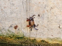 스압) 부안 변산마실길 1-5 > 인기 게시물 | 시보드 스압) 부안 변산마실길 1-5