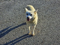 스압) 부안 변산마실길 1-5 > 인기 게시물 | 시보드 스압) 부안 변산마실길 1-5