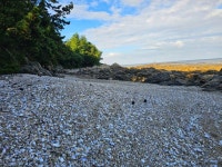 스압) 부안 변산마실길 1-5 > 인기 게시물 | 시보드 스압) 부안 변산마실길 1-5