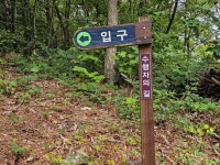 댕댕이와 함께한 추월산 > 인기 게시물 | 시보드 댕댕이와 함께한 추월산