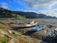 부안 변산마실길 6-8 완주, 내소산 > 인기 게시물 | 시보드 부안 변산마실길 6-8 완주, 내소산