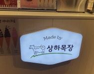 따끈따끈한 울산놀고온 얘기 > 인기 게시물 | 시보드 따끈따끈한 울산놀고온 얘기