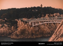 대왕암공원 > 인기 게시물 | 시보드 대왕암공원