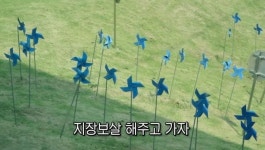 스테이크 드시러 아웃백에 가신 선우용녀 선생님의 인생론 > 인기 게시물 | 시보드 스테이크 드시러 아웃백에 가신 선우용녀 선생님의 인생론