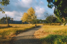 곡성 16pics > 인기 게시물 | 시보드 곡성 16pics