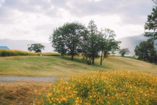 곡성 16pics > 인기 게시물 | 시보드 곡성 16pics