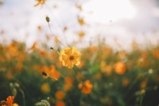 곡성 16pics > 인기 게시물 | 시보드 곡성 16pics