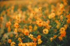 곡성 16pics > 인기 게시물 | 시보드 곡성 16pics