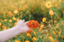 곡성 16pics > 인기 게시물 | 시보드 곡성 16pics