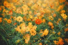 곡성 16pics > 인기 게시물 | 시보드 곡성 16pics