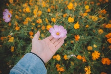 곡성 16pics > 인기 게시물 | 시보드 곡성 16pics