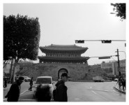 수원/탄도항, F2AS/오존 FW45 > 인기 게시물 | 시보드 수원/탄도항, F2AS/오존 FW45