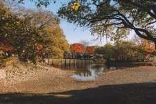 진해 28pic > 인기 게시물 | 시보드 진해 28pic