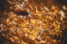 진해 28pic > 인기 게시물 | 시보드 진해 28pic