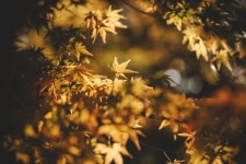 진해 28pic > 인기 게시물 | 시보드 진해 28pic