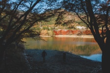 진해 28pic > 인기 게시물 | 시보드 진해 28pic