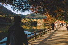 진해 28pic > 인기 게시물 | 시보드 진해 28pic